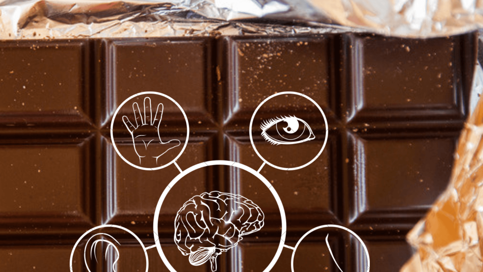 Sophrologie & Chocolat, découverte de nos 5 sens